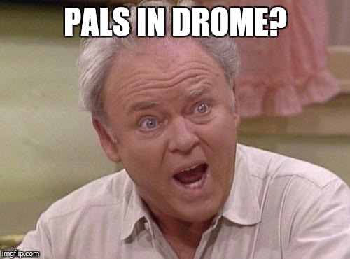 Memes, Archie | PALS IN DROME? | image tagged in memes archie | made w/ Imgflip meme maker