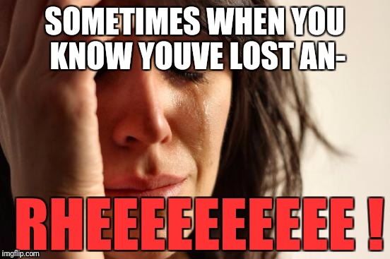 First World Problems Meme | SOMETIMES WHEN YOU KNOW YOUVE LOST AN- RHEEEEEEEEEE ! | image tagged in memes,first world problems | made w/ Imgflip meme maker