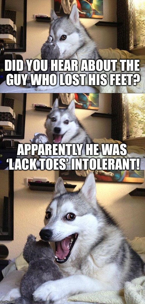 Bad Pun Dog | DID YOU HEAR ABOUT THE GUY WHO LOST HIS FEET? APPARENTLY HE WAS ‘LACK TOES’ INTOLERANT! | image tagged in memes,bad pun dog | made w/ Imgflip meme maker