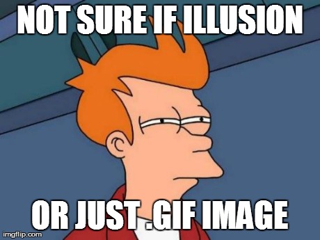 Futurama Fry Meme | NOT SURE IF ILLUSION OR JUST .GIF IMAGE | image tagged in memes,futurama fry | made w/ Imgflip meme maker