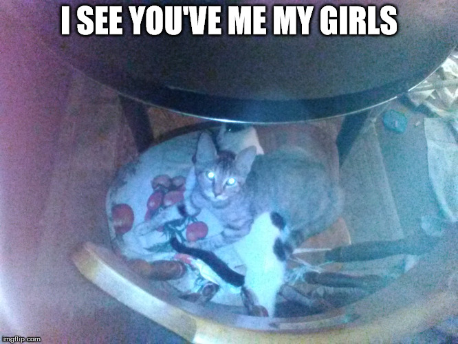 I SEE YOU'VE ME MY GIRLS | made w/ Imgflip meme maker