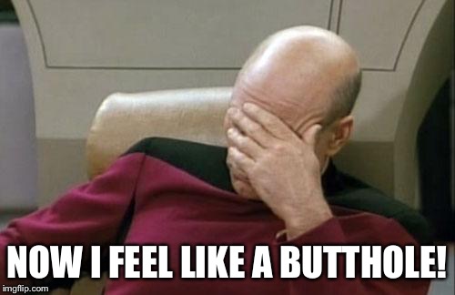 Captain Picard Facepalm Meme | NOW I FEEL LIKE A BUTTHOLE! | image tagged in memes,captain picard facepalm | made w/ Imgflip meme maker
