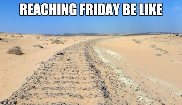 Desert | REACHING FRIDAY BE LIKE | image tagged in desert,friday | made w/ Imgflip meme maker