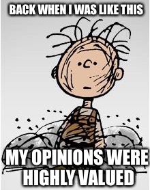 BACK WHEN I WAS LIKE THIS; MY OPINIONS WERE HIGHLY VALUED | image tagged in memes | made w/ Imgflip meme maker