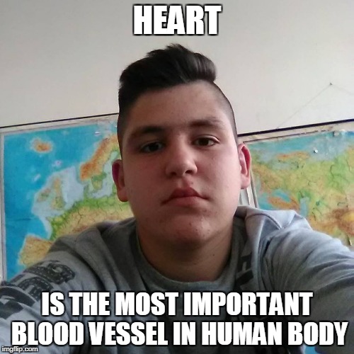 Nobody could say anything dumber in 20 heartbeats | HEART; IS THE MOST IMPORTANT BLOOD VESSEL IN HUMAN BODY | image tagged in stupid student stan,memes,funny,heart,idiot,human | made w/ Imgflip meme maker