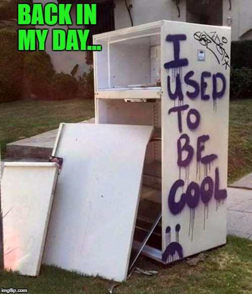 We all have our day in the sun...how long will yours be? | BACK IN MY DAY... | image tagged in day in the sun,memes,back in my day,funny,cool,the old days | made w/ Imgflip meme maker