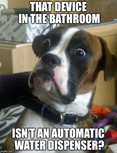 Blankie the Shocked Dog | THAT DEVICE IN THE BATHROOM; ISN’T AN AUTOMATIC WATER DISPENSER? | image tagged in blankie the shocked dog | made w/ Imgflip meme maker