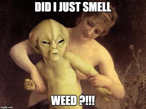 Alien Hold Me Back | DID I JUST SMELL; WEED ?!!! | image tagged in alien hold me back | made w/ Imgflip meme maker