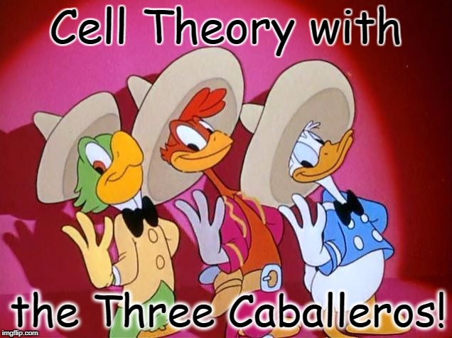 Three Caballeros | Cell Theory with; the Three Caballeros! | image tagged in three caballeros | made w/ Imgflip meme maker