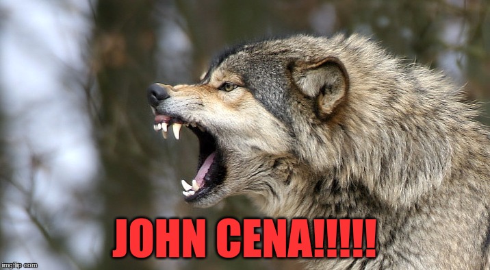John Cena Wolf | JOHN CENA!!!!! | image tagged in meme,funny meme,john cena,wolf,funny wolf | made w/ Imgflip meme maker
