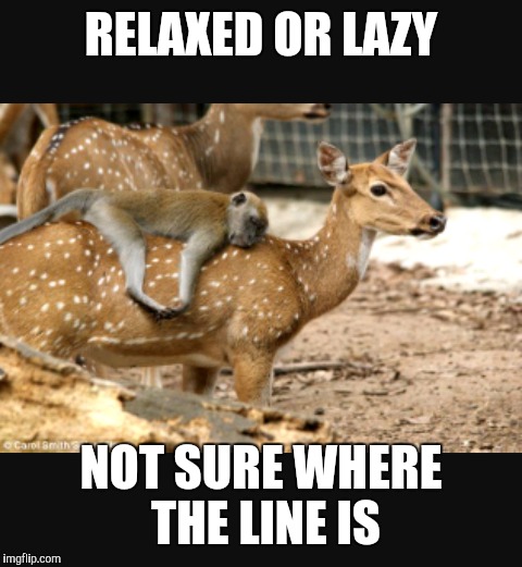Walking The Line |  RELAXED OR LAZY; NOT SURE WHERE THE LINE IS | image tagged in funny memes | made w/ Imgflip meme maker
