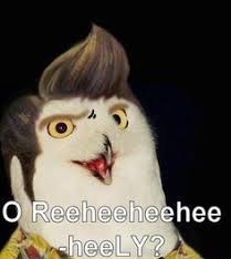Ace Ventura O Rly | image tagged in ace ventura,o rly,memes | made w/ Imgflip meme maker