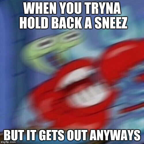 Mr krabs blur | WHEN YOU TRYNA HOLD BACK A SNEEZ; BUT IT GETS OUT ANYWAYS | image tagged in mr krabs blur | made w/ Imgflip meme maker
