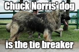 Chuck Norris' dog is the tie breaker | made w/ Imgflip meme maker