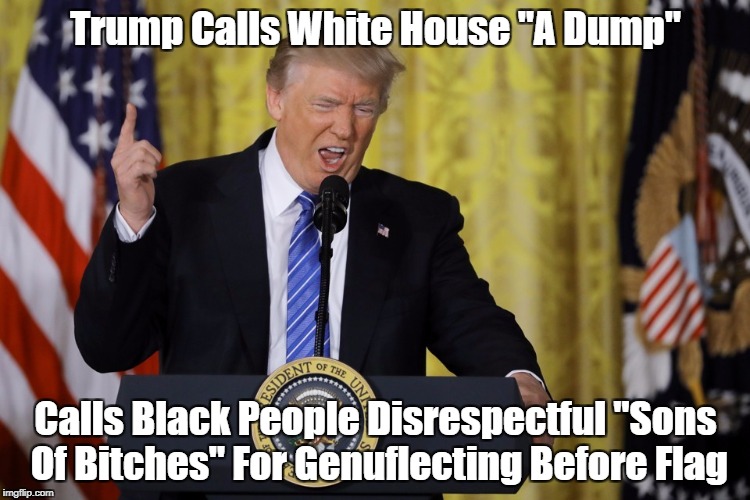 Trump Calls White House "A Dump." Calls Black People... | Trump Calls White House "A Dump" Calls Black People Disrespectful "Sons Of B**ches" For Genuflecting Before Flag | image tagged in deplorable donald,despicable donald,dishonorable donald,dishonest donald,despotic donald,devious donald | made w/ Imgflip meme maker