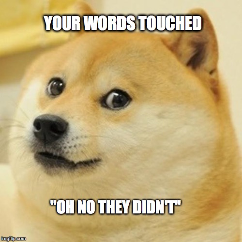 Doge Meme | YOUR WORDS TOUCHED; "OH NO THEY DIDN'T" | image tagged in memes,doge | made w/ Imgflip meme maker