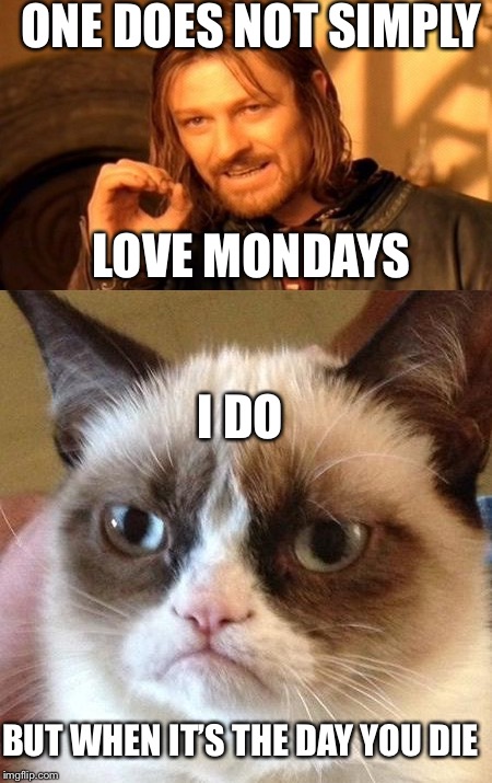Oh, Yeah!! Monday | ONE DOES NOT SIMPLY; LOVE MONDAYS; I DO; BUT WHEN IT’S THE DAY YOU DIE | image tagged in memes,one does not simply,angry cat | made w/ Imgflip meme maker