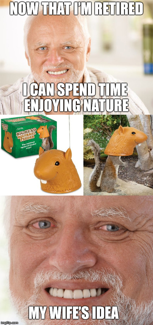 Harry's Squirrel Feeder  | NOW THAT I’M RETIRED; I CAN SPEND TIME ENJOYING NATURE; MY WIFE’S IDEA | image tagged in hide the pain harold,squirrel,stupid,memes,wife | made w/ Imgflip meme maker