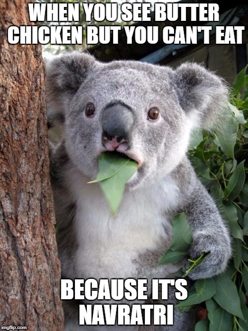 Surprised Koala | WHEN YOU SEE BUTTER CHICKEN BUT YOU CAN'T EAT; BECAUSE IT'S NAVRATRI | image tagged in memes,surprised koala | made w/ Imgflip meme maker