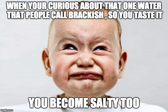 Sour Face | WHEN YOUR CURIOUS ABOUT THAT ONE WATER  THAT PEOPLE CALL BRACKISH , SO YOU TASTE IT; YOU BECOME SALTY TOO | image tagged in sour face | made w/ Imgflip meme maker