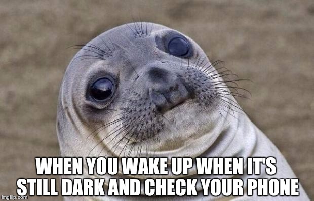 Awkward Moment Sealion Meme | WHEN YOU WAKE UP WHEN IT'S STILL DARK AND CHECK YOUR PHONE | image tagged in memes,awkward moment sealion | made w/ Imgflip meme maker