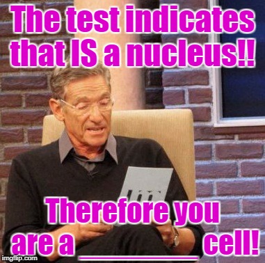 Maury Lie Detector Meme | The test indicates that IS a nucleus!! Therefore you are a _______ cell! | image tagged in memes,maury lie detector | made w/ Imgflip meme maker
