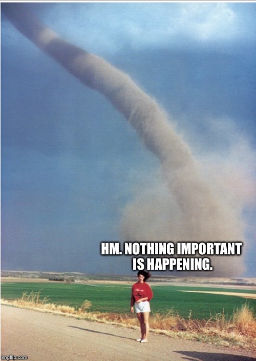 uh..Lady?...tornado? | HM. NOTHING IMPORTANT IS HAPPENING. | image tagged in uhladytornado | made w/ Imgflip meme maker