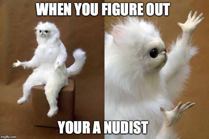 Persian Cat Room Guardian Meme | WHEN YOU FIGURE OUT; YOUR A NUDIST | image tagged in memes,persian cat room guardian | made w/ Imgflip meme maker