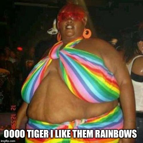 OOOO TIGER I LIKE THEM RAINBOWS | made w/ Imgflip meme maker