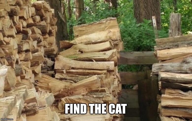 FIND THE CAT | made w/ Imgflip meme maker