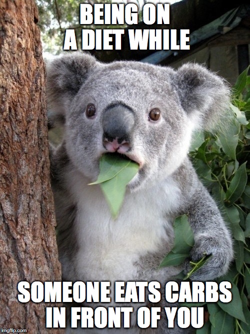 Surprised Koala |  BEING ON A DIET WHILE; SOMEONE EATS CARBS IN FRONT OF YOU | image tagged in memes,surprised coala | made w/ Imgflip meme maker