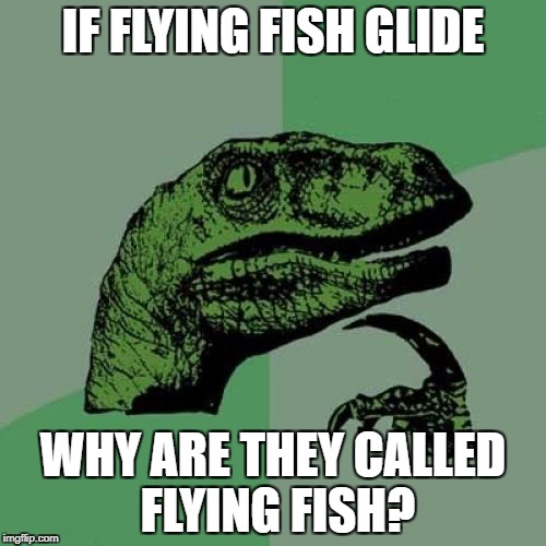 Philosoraptor | IF FLYING FISH GLIDE; WHY ARE THEY CALLED FLYING FISH? | image tagged in memes,philosoraptor | made w/ Imgflip meme maker