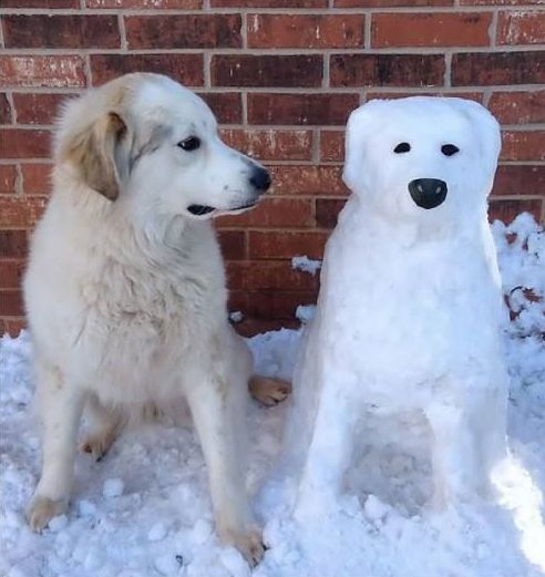 High Quality happy birthday great pyrenees Blank Meme Template