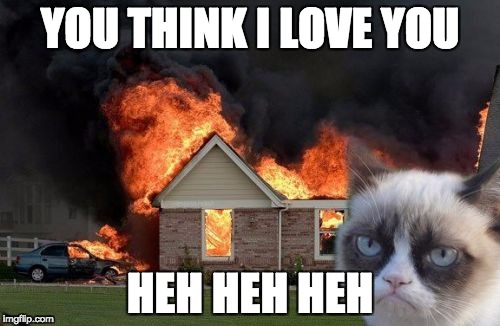 Burn Kitty | YOU THINK I LOVE YOU; HEH HEH HEH | image tagged in memes,burn kitty,grumpy cat | made w/ Imgflip meme maker