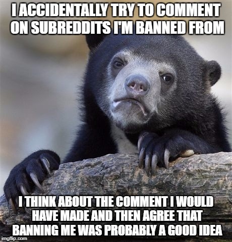 Confession Bear Meme Imgflip