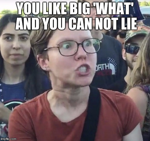 Triggered feminist | YOU LIKE BIG 'WHAT' AND YOU CAN NOT LIE | image tagged in triggered feminist | made w/ Imgflip meme maker