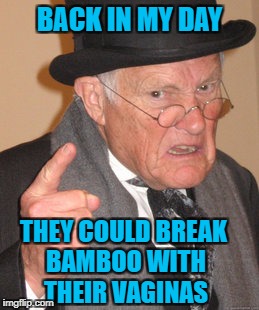 Back In My Day Meme | BACK IN MY DAY THEY COULD BREAK BAMBOO WITH THEIR VA**NAS | image tagged in memes,back in my day | made w/ Imgflip meme maker