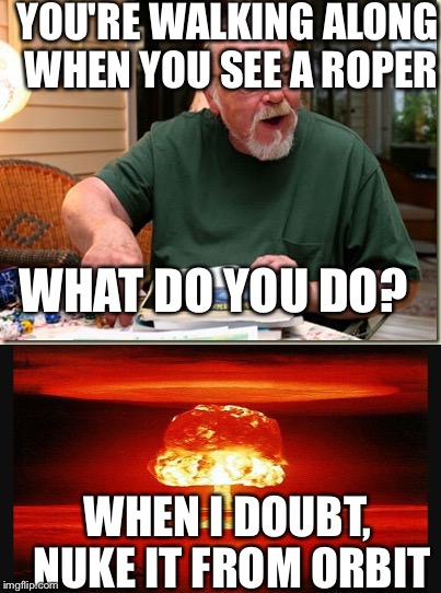 YOU'RE WALKING ALONG WHEN YOU SEE A ROPER; WHAT DO YOU DO? WHEN I DOUBT, NUKE IT FROM ORBIT | image tagged in dungeons and dragons | made w/ Imgflip meme maker