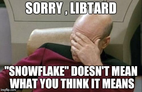Captain Picard Facepalm Meme | SORRY , LIBTARD "SNOWFLAKE" DOESN'T MEAN WHAT YOU THINK IT MEANS | image tagged in memes,captain picard facepalm | made w/ Imgflip meme maker