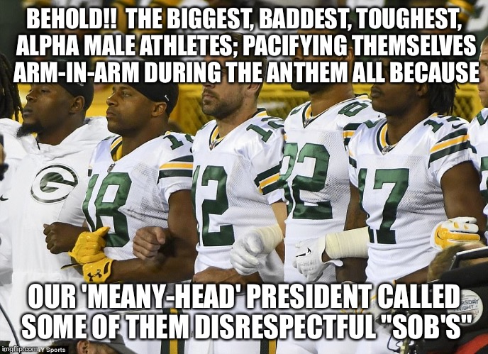 BEHOLD!!  THE BIGGEST, BADDEST, TOUGHEST, ALPHA MALE ATHLETES; PACIFYING THEMSELVES ARM-IN-ARM DURING THE ANTHEM ALL BECAUSE; OUR 'MEANY-HEAD' PRESIDENT CALLED SOME OF THEM DISRESPECTFUL "SOB'S" | image tagged in protests | made w/ Imgflip meme maker