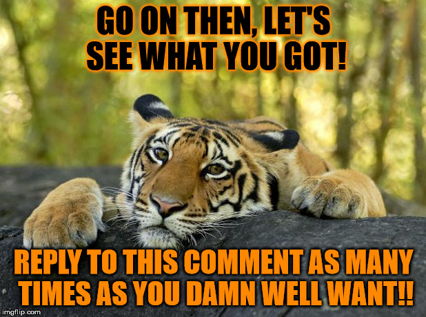 GO ON THEN, LET'S SEE WHAT YOU GOT! REPLY TO THIS COMMENT AS MANY TIMES AS YOU DAMN WELL WANT!! | made w/ Imgflip meme maker