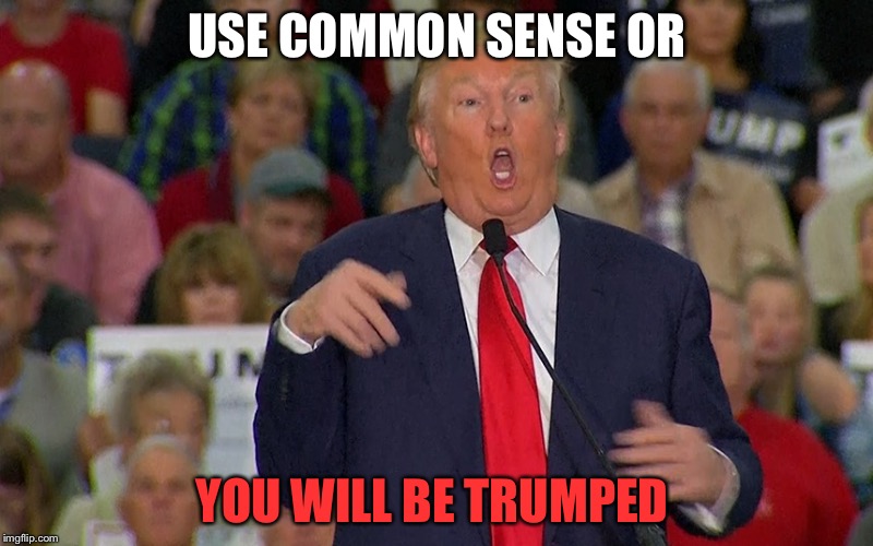 USE COMMON SENSE OR; YOU WILL BE TRUMPED | image tagged in idiot trump | made w/ Imgflip meme maker