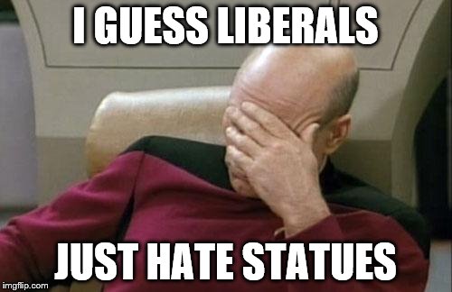 Captain Picard Facepalm Meme | I GUESS LIBERALS JUST HATE STATUES | image tagged in memes,captain picard facepalm | made w/ Imgflip meme maker