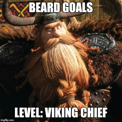 BEARD GOALS; LEVEL: VIKING CHIEF | image tagged in beard goals | made w/ Imgflip meme maker