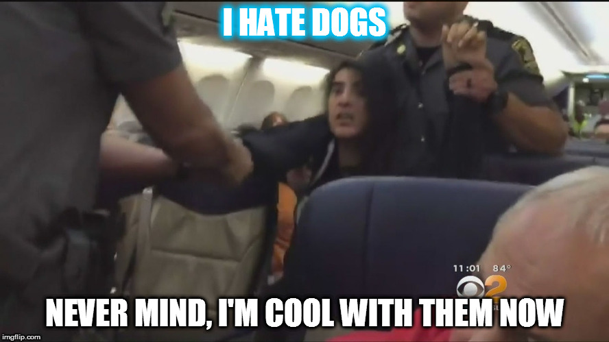 I HATE DOGS; NEVER MIND, I'M COOL WITH THEM NOW | image tagged in anila daulatzai | made w/ Imgflip meme maker