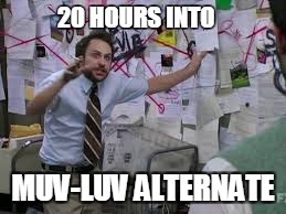 conspiracy theory | 20 HOURS INTO; MUV-LUV ALTERNATE | image tagged in conspiracy theory | made w/ Imgflip meme maker