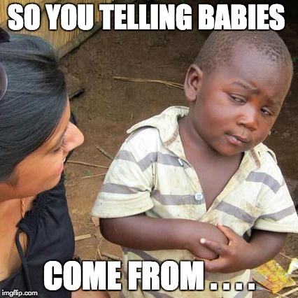 Third World Skeptical Kid | SO YOU TELLING BABIES; COME FROM . . . . | image tagged in memes,third world skeptical kid | made w/ Imgflip meme maker