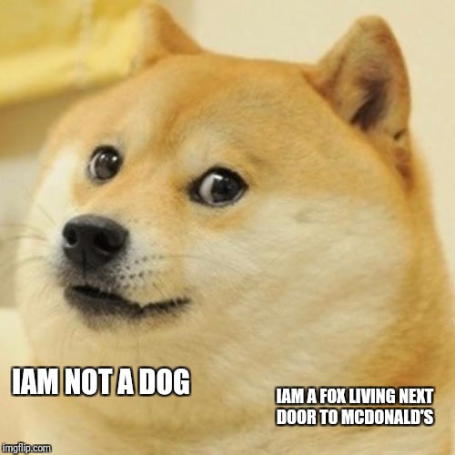 Doge | IAM NOT A DOG; IAM A FOX LIVING NEXT DOOR TO MCDONALD'S | image tagged in memes,doge | made w/ Imgflip meme maker