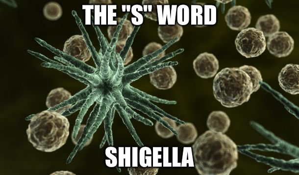 Bacteria | THE "S" WORD; SHIGELLA | image tagged in bacteria | made w/ Imgflip meme maker