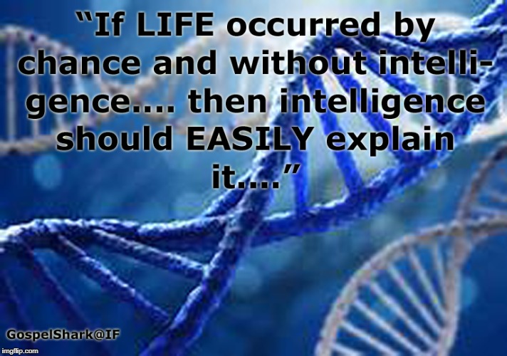 image tagged in abiogenesis,life by chance,probability of life,biogenesis,evolution fraud | made w/ Imgflip meme maker